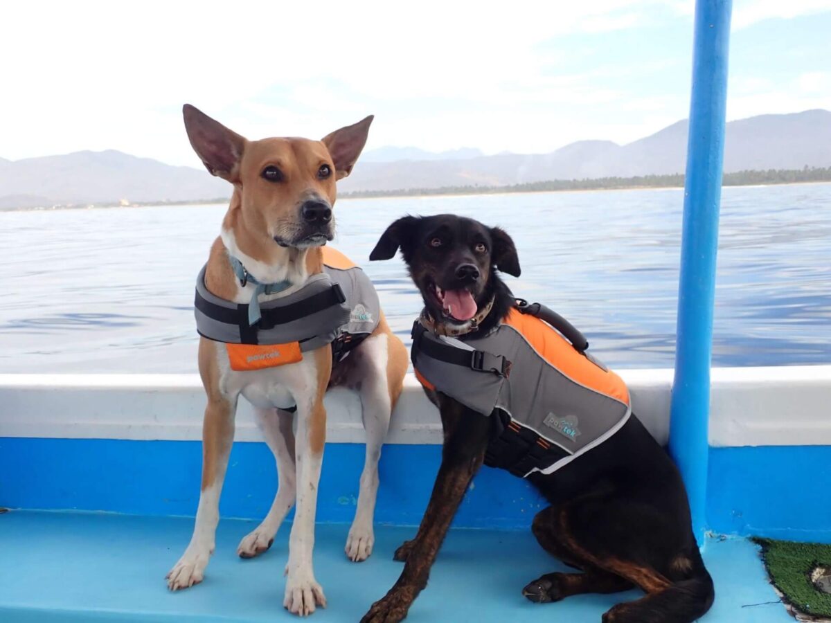 Our Staff Dive Zihuatanejo Scuba Diving, Snorkeling & Whale Tours